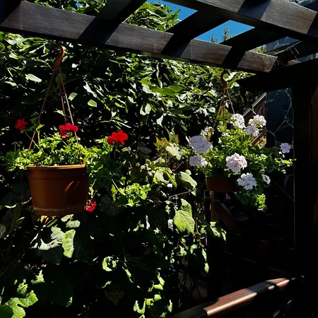 Casa Colon Los Silos