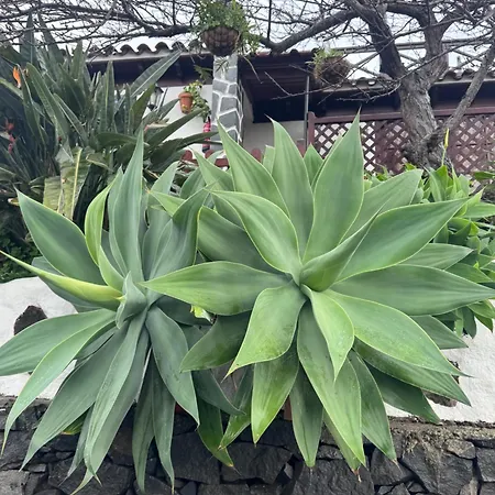 Casa Colon Los Silos