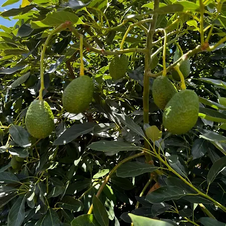 Casa Colon بيت للعطل